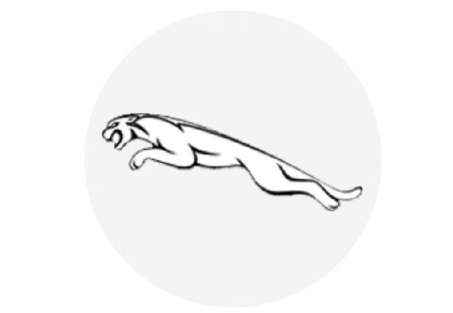 logo7